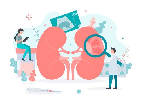 Why Is Hydration Important For Your Kidneys